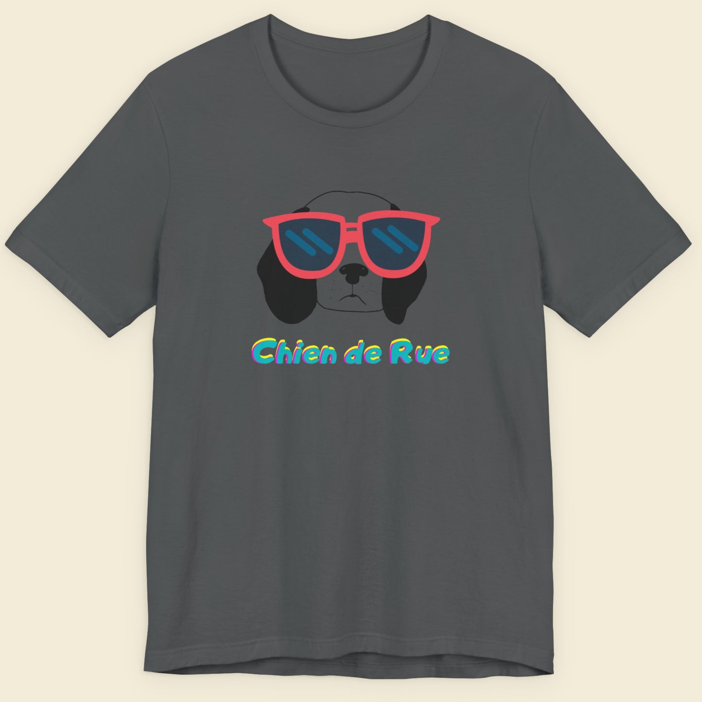 Gray t-shirt with a dog wearing sunglasses graphic and 'Chien de Rue' text on a beige background.