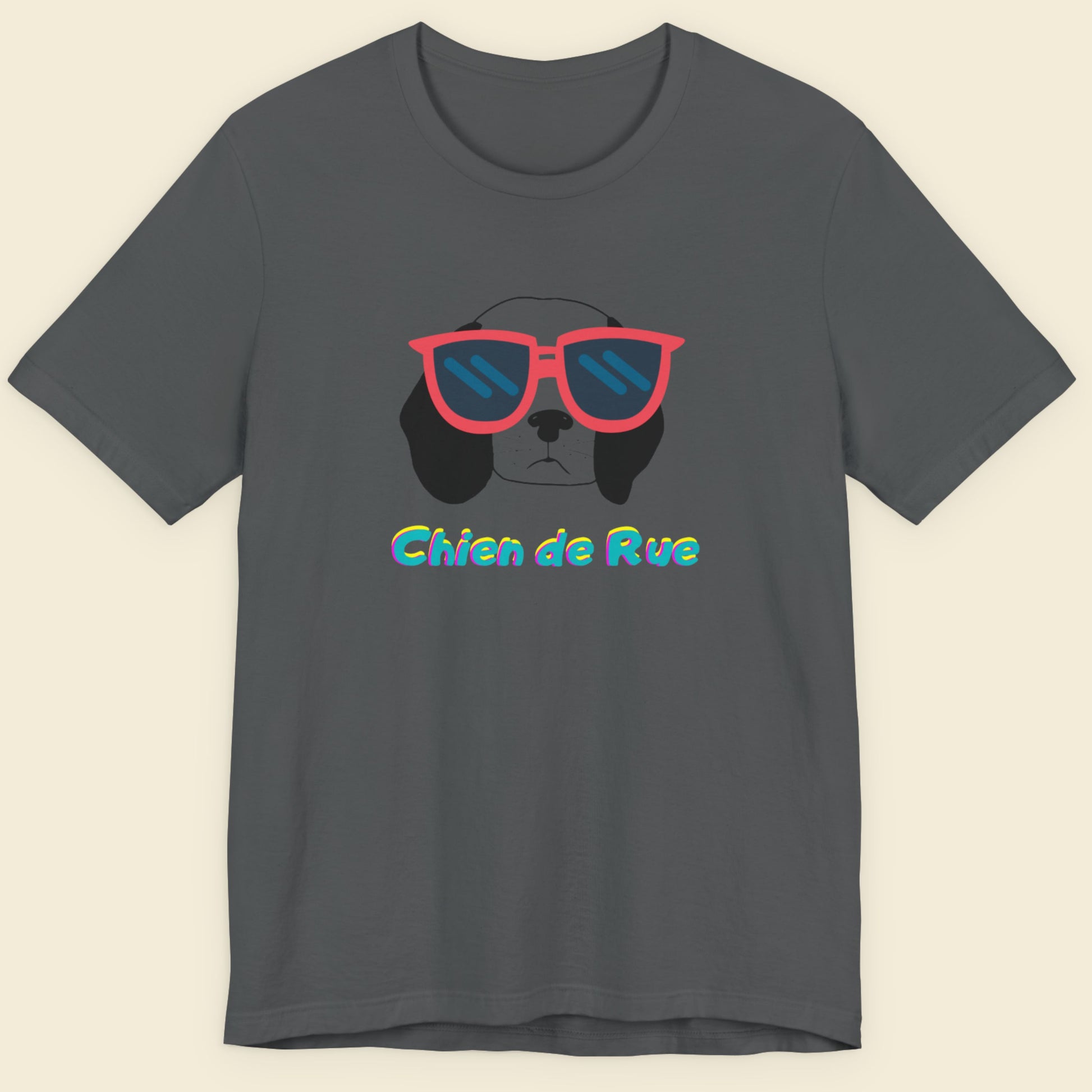 Gray t-shirt with a dog wearing sunglasses graphic and 'Chien de Rue' text on a beige background.