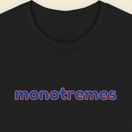 Black t-shirt with humorous multi-colored text on a beige background.