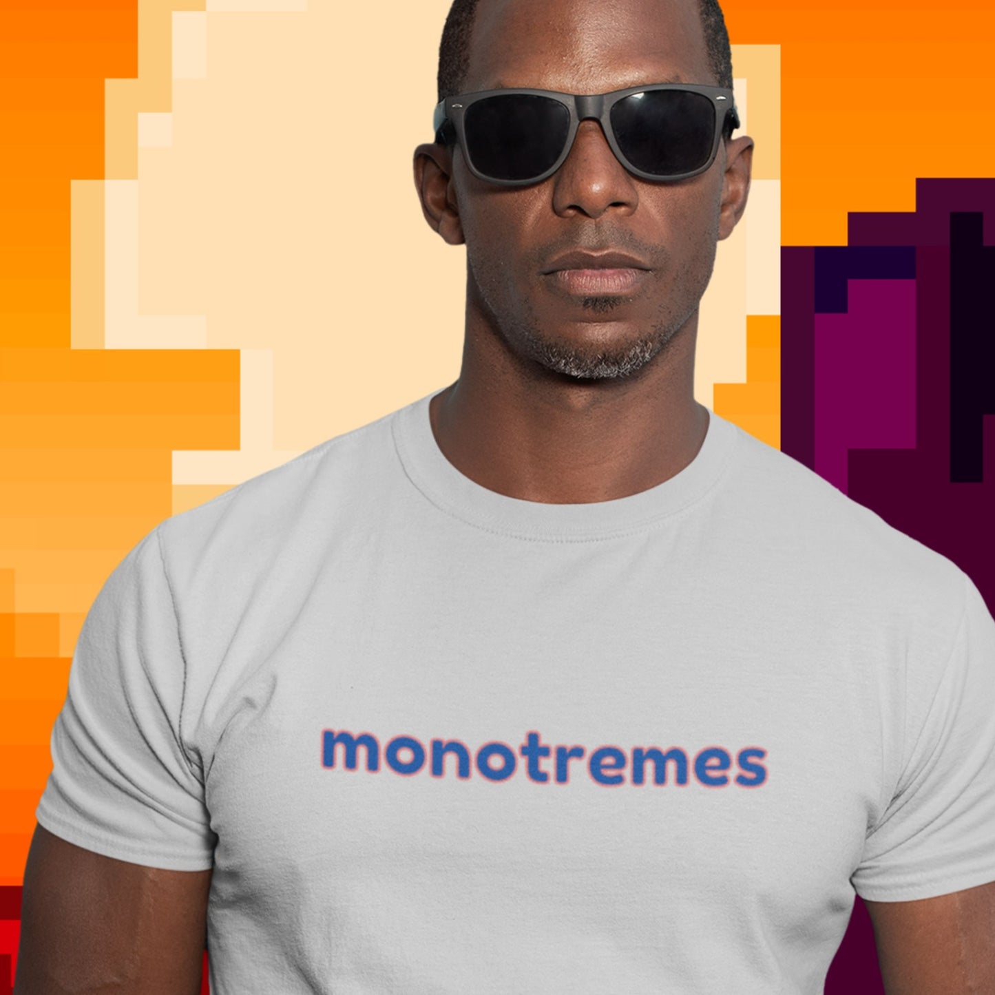 Sunglasses man wearing a light grey t-shirt with humorous multi-colored text trapped in the pixelated world of Minecraft.