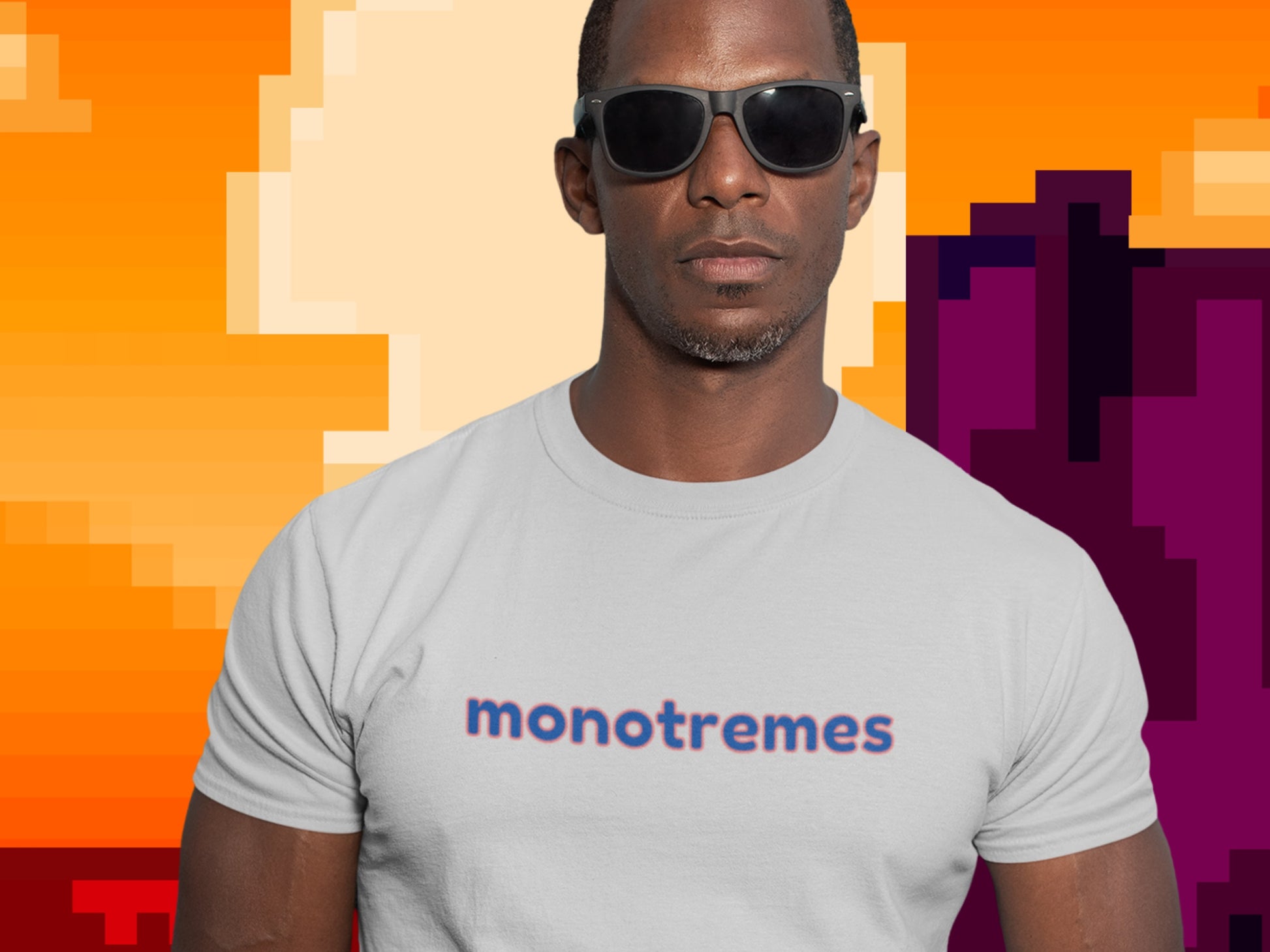 Monotremes Silver T-Shirt.