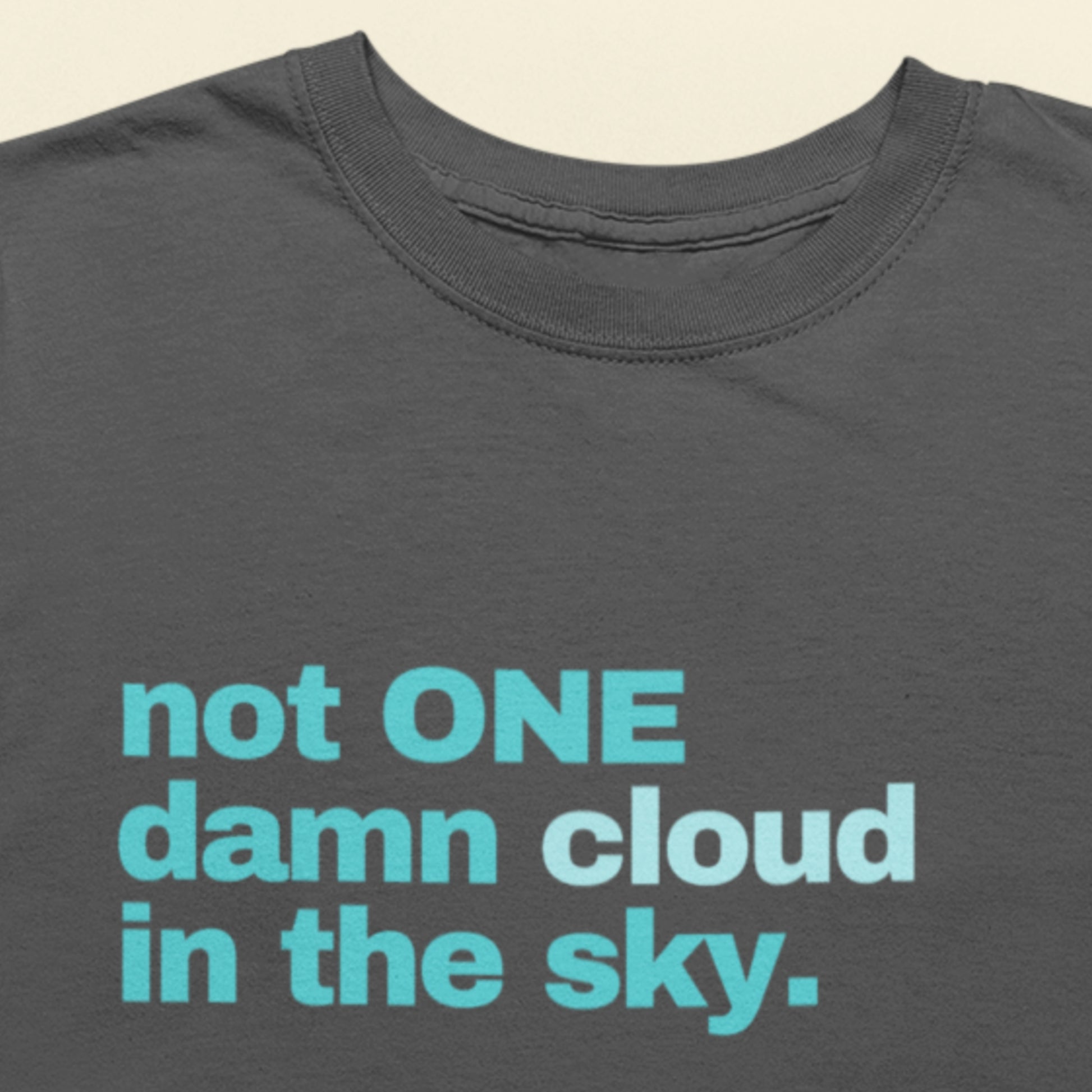 Gray t-shirt with blue text 'not ONE damn cloud in the sky.' on a beige background