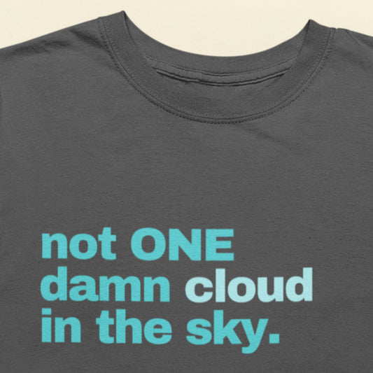 Gray t-shirt with blue text 'not ONE damn cloud in the sky.' on a beige background