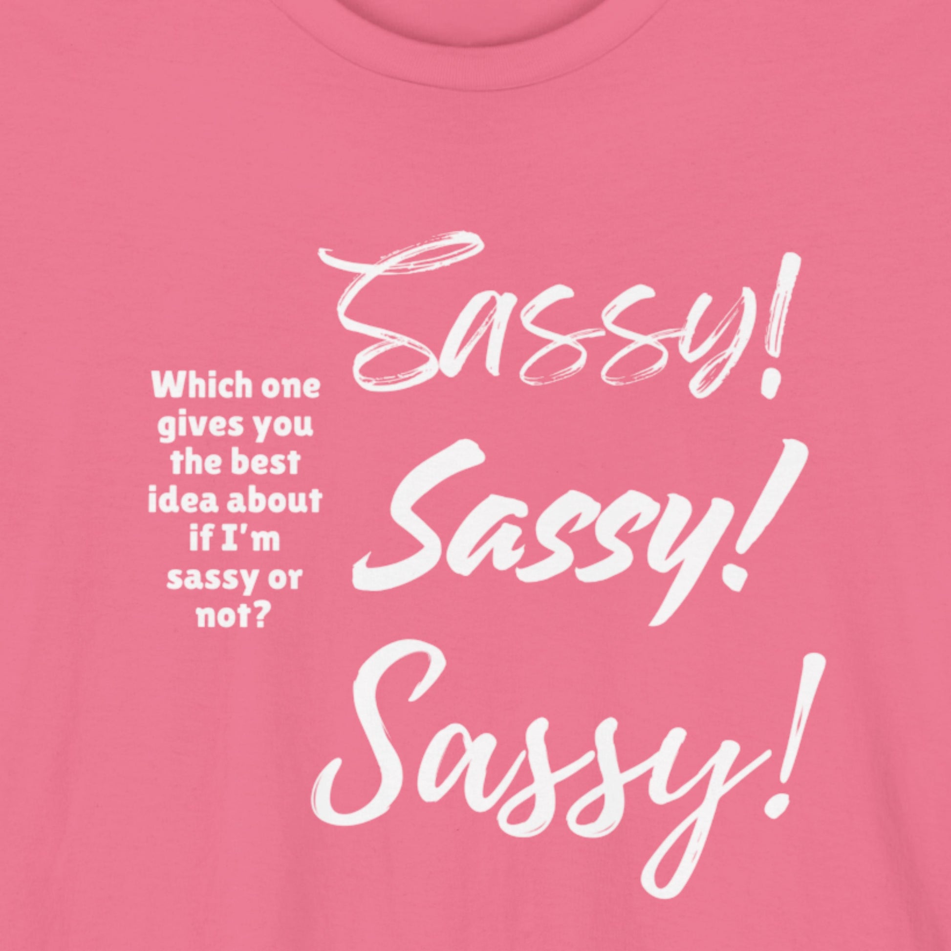A closeup of a pink shirt with 3 examples of sassy fonts in white text.