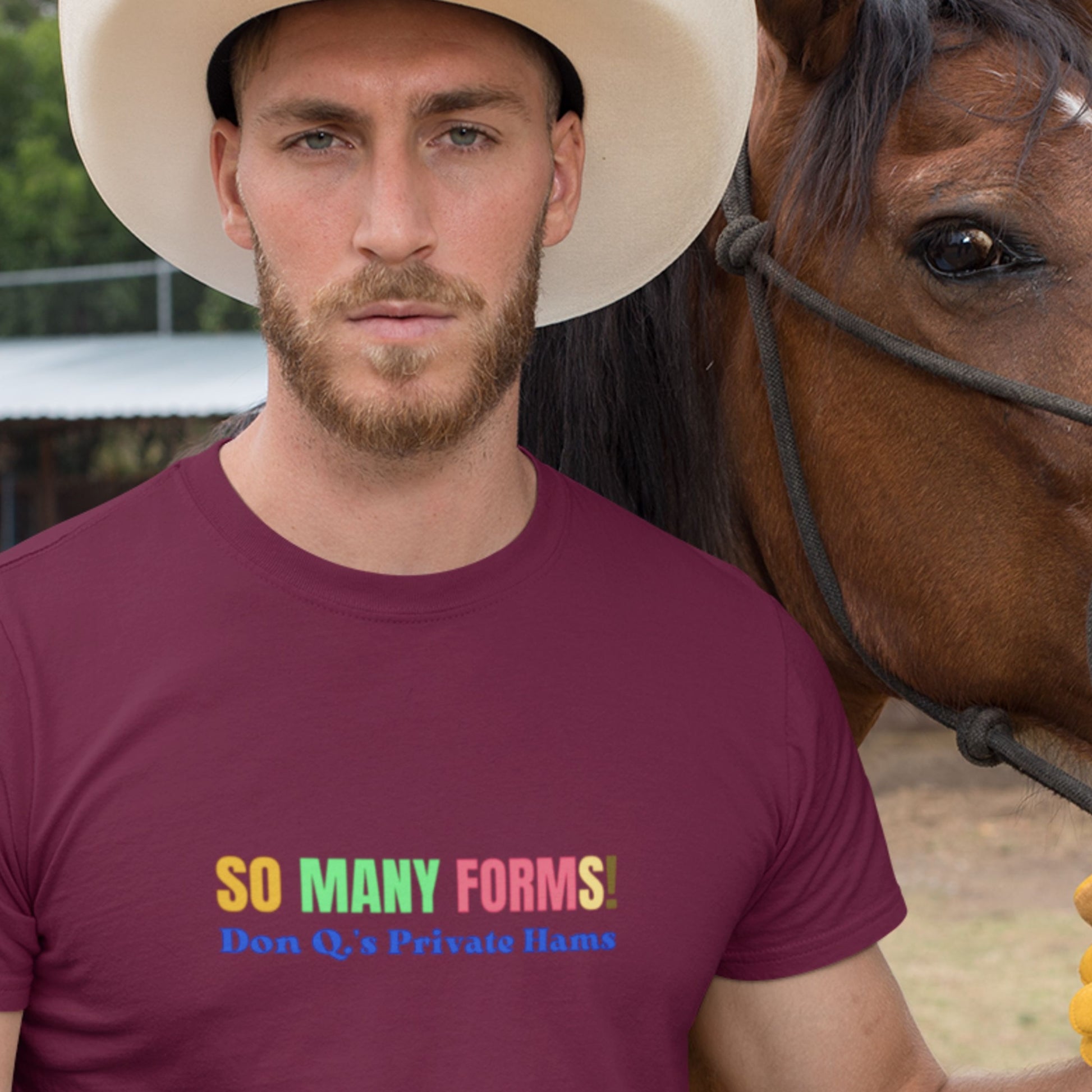 Cowboy man wearing a maroon tee with humorous colorful text with a horse.