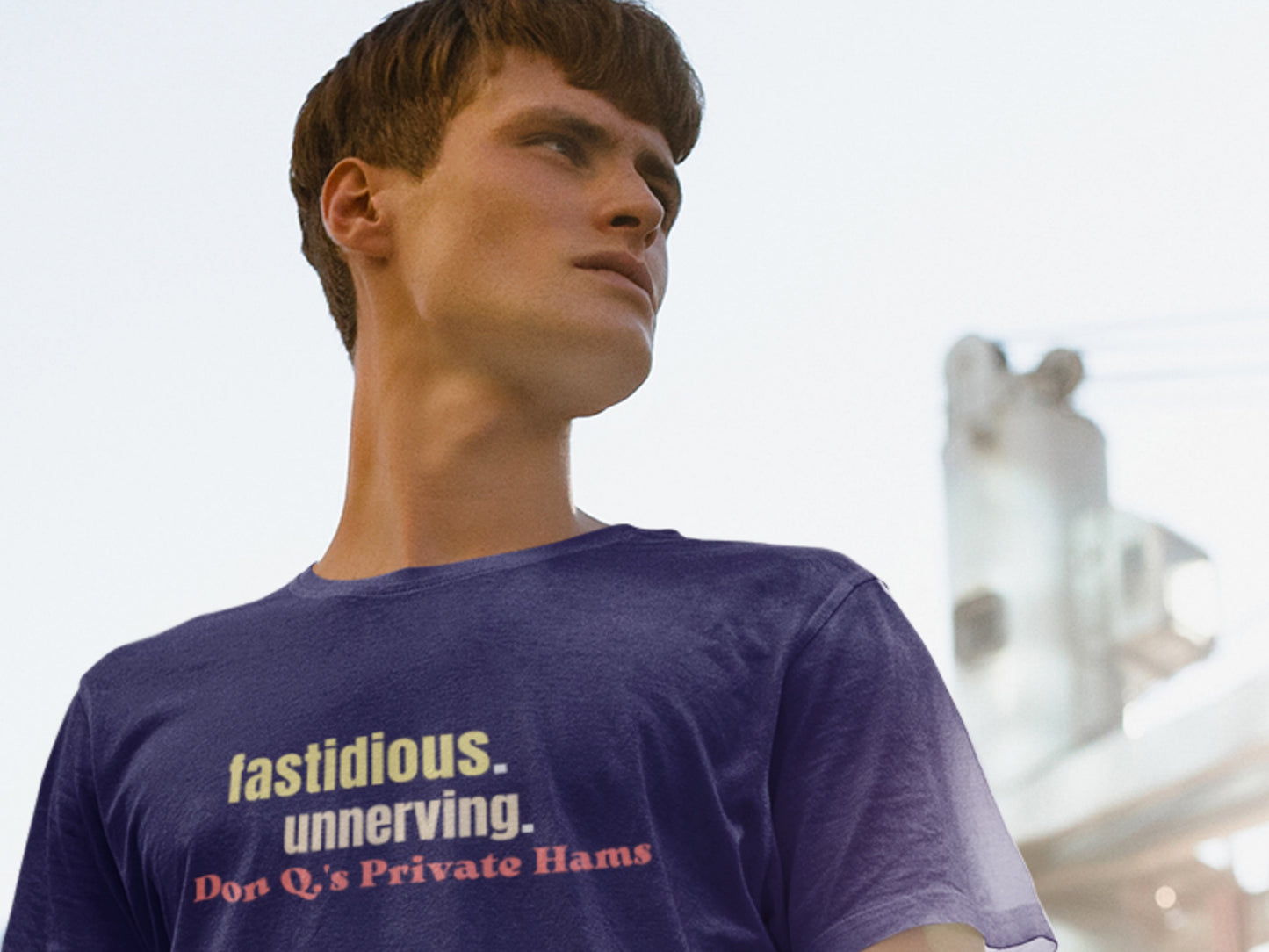 Fastidious. Unnerving. Don Q.'s Private Hams Navy T-Shirt.